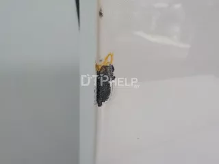 H010MCL7MA Дверь передняя правая Infiniti FX1  Арт AM41228414, вид 3