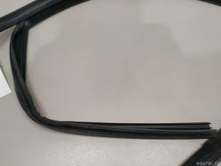 1667251700 Mercedes Benz Уплотнитель стекла двери Mercedes ML/GLE W166 Арт E22588617, вид 9
