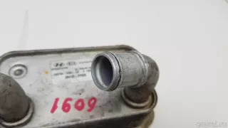 264102F020 Hyundai-Kia Радиатор масляный Kia Sportage 3 Арт E70769305, вид 3