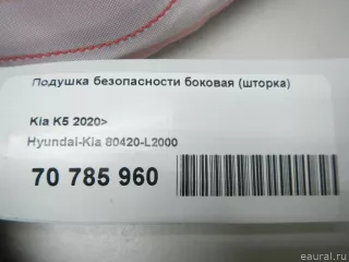 80420L2000 Hyundai-Kia Подушка безопасности боковая (шторка) Kia K5 3 Арт E70785960, вид 11
