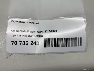 25310C5060 Hyundai-Kia Радиатор основной Kia Sorento 3 restailing Арт E70786243, вид 18