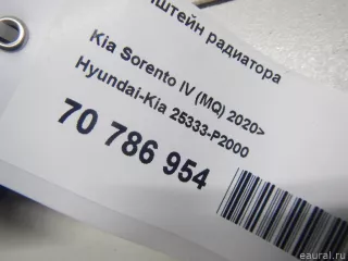 25333P2000 Hyundai-Kia Кронштейн радиатора Kia Carnival 4 Арт E70786954, вид 7