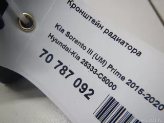25333C5000 Hyundai-Kia Кронштейн радиатора Kia Sorento 3 restailing Арт E70787092, вид 6
