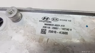 431902N050 Hyundai-Kia Радиатор (маслоохладитель) АКПП Kia K5 3 Арт E70788380, вид 6