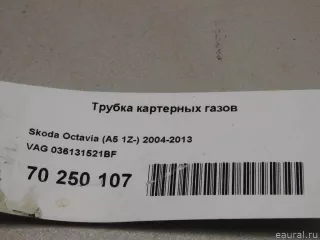036131521BF VAG Картер Skoda Fabia 1 Арт E70250107, вид 5