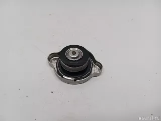 25330C7000 Hyundai-Kia Крышка радиатора Kia Sorento 3 restailing Арт E31579654, вид 2