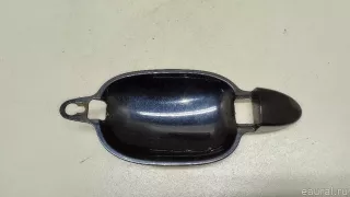 51217191916 BMW Накладка ручки наружной BMW 5 E60/E61 Арт E23614369, вид 1