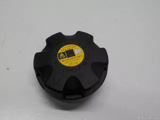 17117639020 BMW Крышка расширительного бачка BMW 5 F10/F11/GT F07 Арт E41184647, вид 1