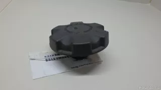 17117639020 BMW Крышка расширительного бачка BMW 3 E90/E91/E92/E93 Арт E70642180, вид 2