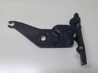 41007198617 BMW Петля капота левая BMW X6 E71/E72 Арт E52452102, вид 1