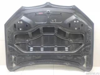 41007463772 BMW Капот BMW X1 F48 Арт E95733063, вид 9