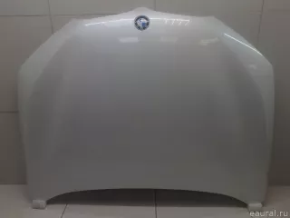 41007463772 BMW Капот BMW X1 F48 Арт E95733508, вид 1