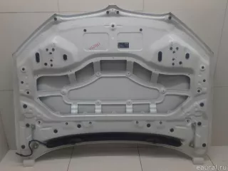 41007463772 BMW Капот BMW X1 F48 Арт E95733508, вид 3
