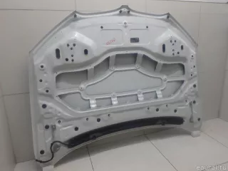 41007463772 BMW Капот BMW X1 F48 Арт E95733508, вид 4