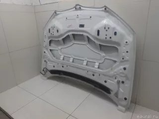 41007463772 BMW Капот BMW X1 F48 Арт E95733508, вид 5