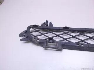 51117210466 BMW Решетка в бампер центральная BMW X3 F25 Арт E22898058, вид 5
