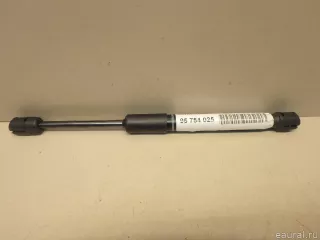 51237347403 BMW Амортизатор капота BMW 5 G30/G31 Арт E95754025, вид 1
