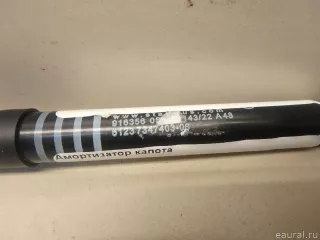 51237347403 BMW Амортизатор капота BMW 5 G30/G31 Арт E95754025, вид 2