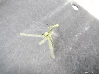 51757241838 BMW Защита днища BMW 2 F22/F23 Арт E70588014, вид 6