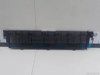 17118482591 BMW Защита радиатора BMW 4 G22/G23 Арт E52525385, вид 4