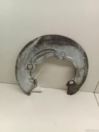 34206871341 BMW Пыльник тормозного диска BMW 3 G20/G21 Арт E70795733, вид 2