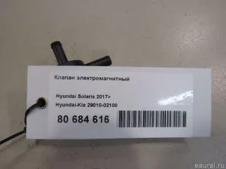 2901002100 Hyundai-Kia Клапан электромагнитный Hyundai Solaris 2 Арт E80684616, вид 5