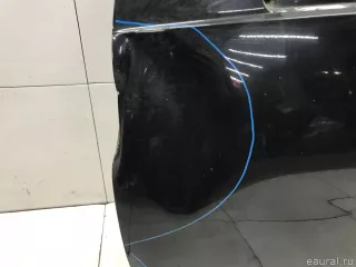 801019012R Renault Дверь передняя левая Renault Duster 2 Арт E31675518, вид 5