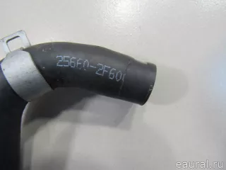 256602F600 Hyundai-Kia Патрубок турбины Kia Carnival 3 Арт E80920178, вид 6