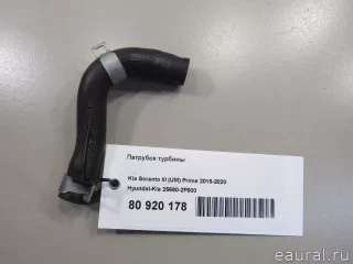 256602F600 Hyundai-Kia Патрубок турбины Kia Carnival 3 Арт E80920178, вид 7
