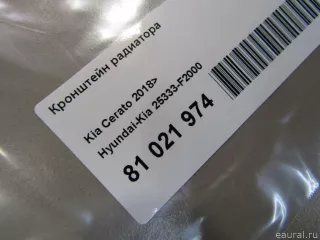 25333F2000 Hyundai-Kia Кронштейн радиатора Kia Seltos Арт E81021974, вид 4
