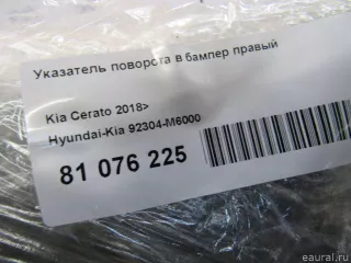 92304M6000 Hyundai-Kia Указатель поворота в бампер правый Kia Cerato 4 Арт E81076225, вид 5