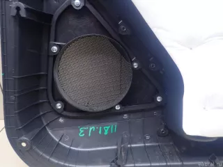 732A336050LBN Ssang Yong Обшивка двери задней левой SsangYong Rexton 3 Арт E95738740, вид 10