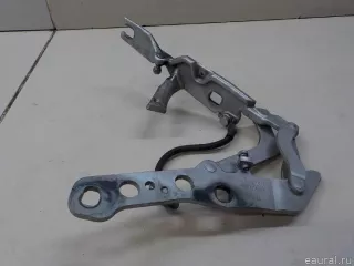 41613452843 BMW Петля капота левая BMW X3 E83 Арт E84409695, вид 4