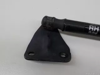 81780B2000 Hyundai-Kia Амортизатор двери багажника Kia Soul 2 restailing Арт E84780398, вид 2