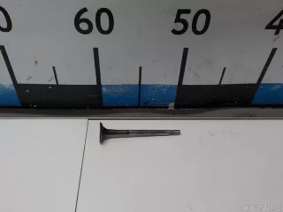 03F109611C VAG Клапан выпускной Audi A3 8P Арт E52229312, вид 8