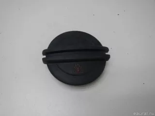 2Q0121321A VAG Крышка расширительного бачка Volkswagen Passat CC Арт E70705746, вид 1