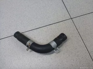 254922M800 Hyundai-Kia Шланг системы охлаждения Kia K5 3 Арт E100439494, вид 2