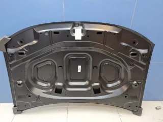 DC60001500000 Капот Renault Duster 1 Арт Z349807, вид 7