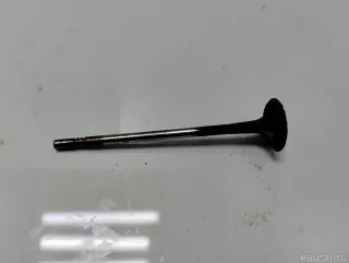 24405815 GM Клапан выпускной Opel Astra H Арт E90452919, вид 1