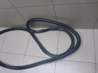 5C6867912G9B9 VAG Уплотнитель двери Volkswagen Jetta 6 Арт E100503824, вид 2