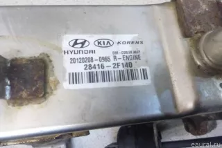 284162F140 Hyundai-Kia Радиатор EGR Hyundai Santa FE 4 (TM) restailing Арт E100558064, вид 5