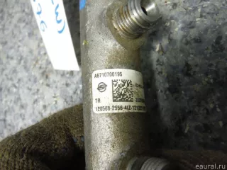 6710700195 Ssang Yong Топливная рампа  SsangYong Stavic Арт E12356576, вид 4