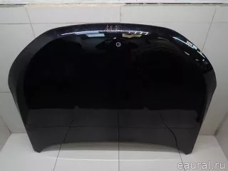 8402100XST01A Great Wall Капот Haval Jolion Арт E95773376, вид 2