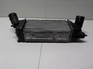 0384G6 Citroen-Peugeot Интеркулер Citroen C5 1 Арт E51149899, вид 8