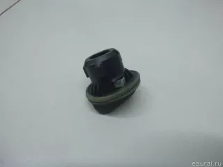 621547 Citroen-Peugeot Патрон указателя поворота Peugeot Partner 3 Арт E103068137, вид 3
