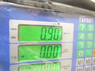 310401G000 Hyundai-Kia Горловина топливного бака Kia Rio 2 Арт E14773983, вид 8