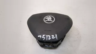 5E0880201 Подушка безопасности водителя Skoda Rapid Арт 20318518, вид 1