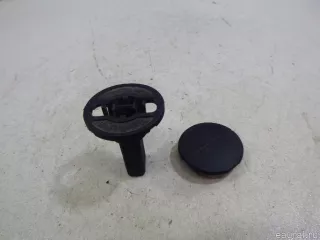 17117596922 BMW Болт BMW 4 F32/F33/GT F36 Арт E15013786