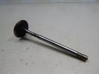 036109601AD VAG Клапан впускной Seat Cordoba 1 restailing Арт E48514049, вид 1