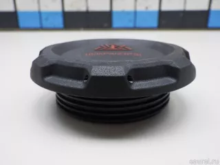 2Q0121321A VAG Крышка расширительного бачка Skoda Rapid Арт E48544772, вид 2